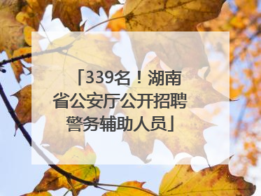 339名！湖南省公安厅公开招聘警务辅助人员