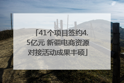 41个项目签约4.5亿元 新疆电商资源对接活动成果丰硕