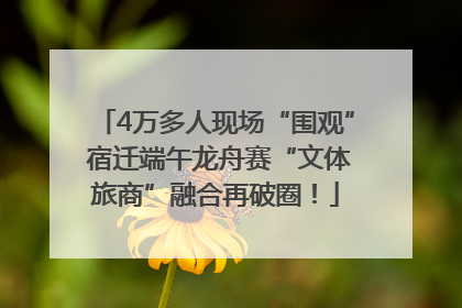 4万多人现场“围观” 宿迁端午龙舟赛“文体旅商”融合再破圈！