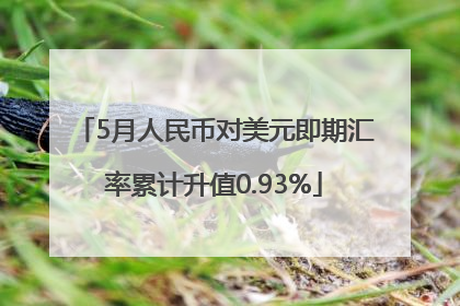 5月人民币对美元即期汇率累计升值0.93%