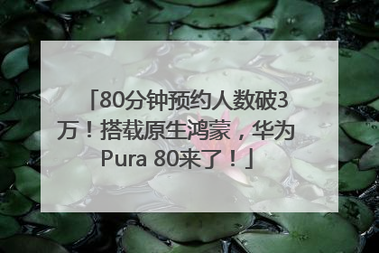 80分钟预约人数破3万！搭载原生鸿蒙，华为Pura 80来了！
