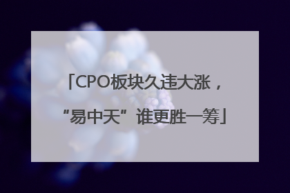 CPO板块久违大涨，“易中天”谁更胜一筹