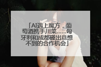 AI遇上魔方，葡萄酒携手川菜……匈牙利和成都碰出意想不到的合作机会