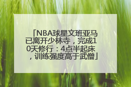 NBA球星文班亚马已离开少林寺，完成10天修行：4点半起床，训练强度高于武僧